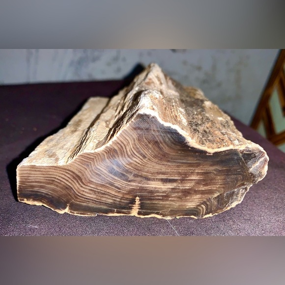 Petrified Wood Chunk almost 2 pounds! - Picture 1 of 8